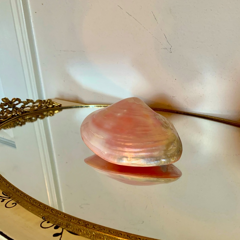 Pink sea shell - Picture 6 of 6